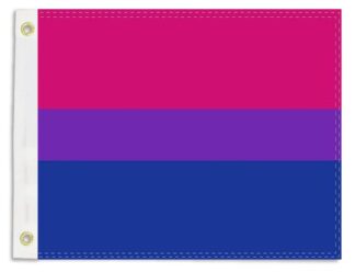 Rainbow Pride Bisexual 12x18 Inch Boat Flag