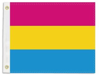 Rainbow Pride Pansexual 12x18 Inch Boat Flag