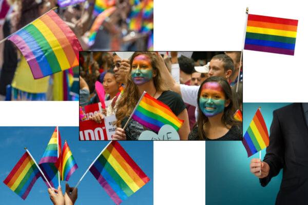 Rainbow Pride Flags 6X9 Inch