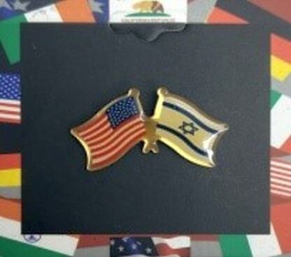 Israel & USA Flag of Friendship Hat Lapel Pin Pinback Tie Tack Pin .75x1 In