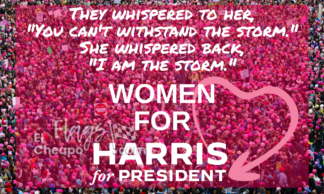 Women For Harris For President I Am The Storm Flag 3X5 FT