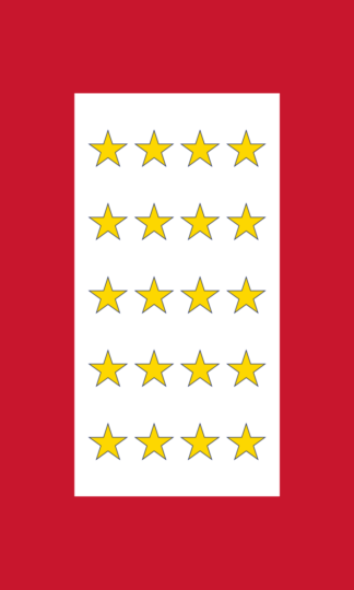 Twenty Gold Star Service Vertical Flag 2×3 FT