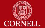 Cornell Flag 3x5 FT