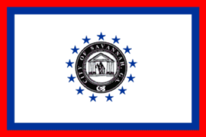 Georgia Savannah Flag
