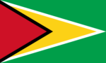 Guyana Flag 3x5 FT