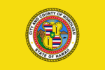 City/Town - Honolulu Flag 3x5 FT