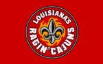 Louisiana Lafayette Flag 3x5 FT