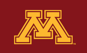 Minnesota Flag