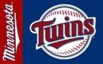 Minnesota Twins Flag 3x5 FT