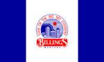 City/Town - Billings Flag 3x5 FT