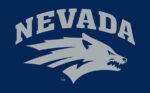 Nevada Uni Flag 3x5 FT