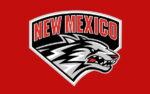 New Mexico Uni Flag 3x5 FT