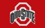 Ohio State University Flag 3x5 FT