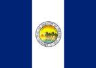 City/Town - Toledo Flag 3x5 FT