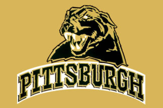 Pittsburgh University Flag