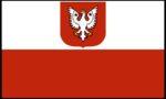 Poland Stick Flag 4x6 In 12 Pack