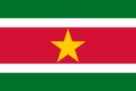 Suriname Flag 3x5 FT