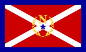 Tennessee Nashville Flag