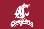 Washington State University Flag 3x5 FT