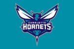 Charlotte Hornets Flag 3x5 FT