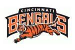 Cincinnati Bengals Flag 3x5 FT