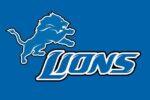 Detroit Lions Flag 3x5 FT