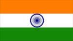 India Stick Flag 4x6 In