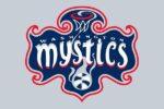 Washington Mystics Flag 3x5 FT